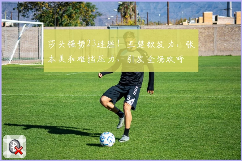 莎头强势23连胜！王楚钦发力，张本美和难挡压力，引发全场欢呼